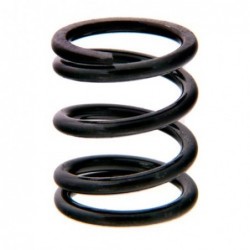 MSE2316 - Muelle de salvaservos para Mugen MGT/MBX7/8