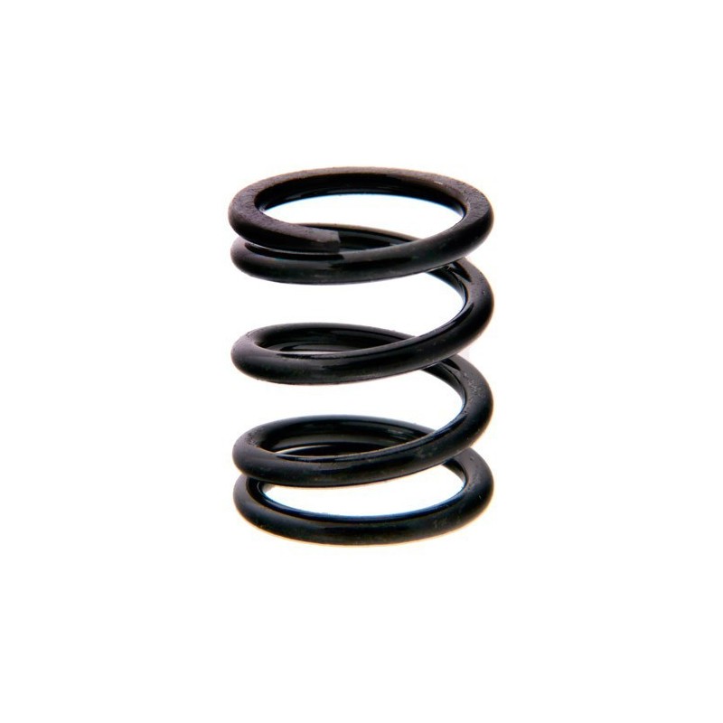 MSE2316 - Muelle de salvaservos para Mugen MGT/MBX7/8